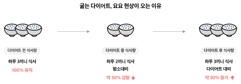 굶는 다이어트, 요요 현상이 오는 이유