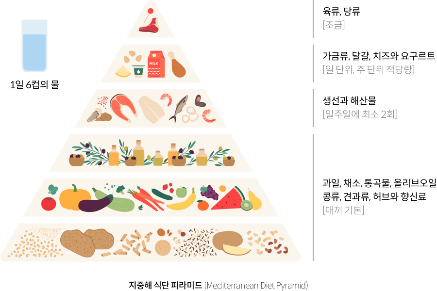 지중해 식단 피라미드(Mediterranean Diet Pyramid) : 매일 기본 = {과일, 채소, 통곡물, 올리브오일, 콩류, 견과류, 허브와 향신료} / 일주일에 최소 2회 = {생선과 해산물} / 일 단위, 주 단위 적당량 = {가금류, 달걀, 치즈와 요구르트} / 조금 = {육류, 당류} / 1일 6컵의 물