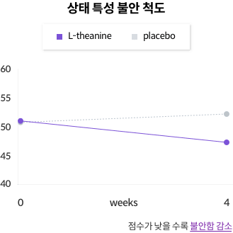 상태 특성 불안 척도