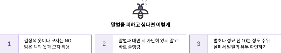 말벌을 피하고 싶다면 이렇게 : 1. 검정색 옷이나 모자는 NO! 밝은 색의 옷과 모자 착용 / 2. 말벌과 대면 시 가만히 있지 말고 바로 줄행량 / 3. 벌초나 성묘 전 10분 정도 주위 살펴서 말벌의 유무 확인하기