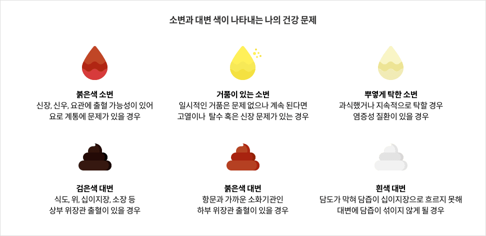 소변과 대변 색이 나타내는 나의 건강 문제 - 붉은색 소변 : 신장, 신우, 요관에 출혈 가능성이 있어 요로 계통에 문제가 있을 경우 / 거품이 있는 소변 : 일시적인 거품은 문제 없으나 계속 된다면 고열이나  탈수 혹은 신장 문제가 있는 경우 / 뿌옇게 탁한 소변 : 과식했거나 지속적으로 탁할 경우 염증성 질환이 있을 경우 / 검은색 대변 : 식도, 위, 십이지장, 소장 등 상부 위장관 출혈이 있을 경우 / 붉은색 대변 : 항문과 가까운 소화기관인 하부 위장관 출혈이 있을 경우 / 흰색 대변 : 담도가 막혀 담즙이 십이지장으로 흐르지 못해 대변에 담즙이 섞이지 않게 될 경우