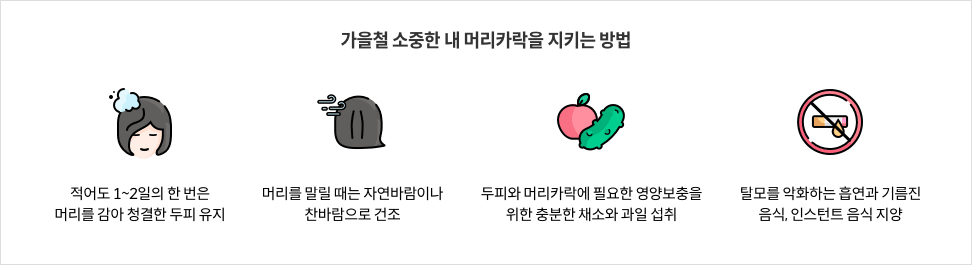 가을철 소중한 내 머리카락을 지키는 방법 : 적어도 1~2일의 한 번은 머리를 감아 청결한 두피 유지 / 머리를 말릴 때는 자연 바람이나 찬바람으로 건조 / 두피와 머리카락에 필요한 영양보충을 위한 충분한 채소와 과일 섭취 / 탈모를 악화하는 흡연과 기름진 음식, 인스턴트 음식 지양