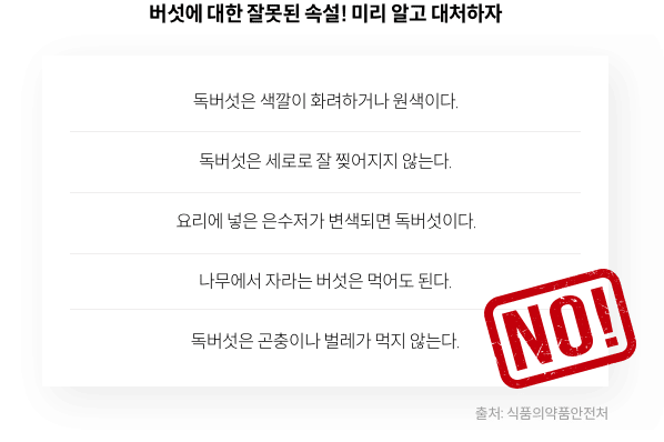 버섯에 대한 잘못된 속설! 미리 알고 대처하자 - 독버섯은 색깔이 화려하거나 원색이다. / 독버섯은 세로로 잘 찢어지지 않는다. / 요리에 넣은 은수저가 변색되면 독버섯이다. / 나무에서 자라는 버섯은 먹어도 된다. / 독버섯은 곤충이나 벌레가 먹지 않는다. [출처 : 식품의약품안전처]