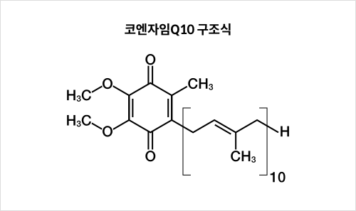 코엔자임Q10 구조식