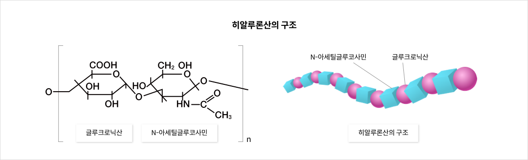 히알루론산의 구조