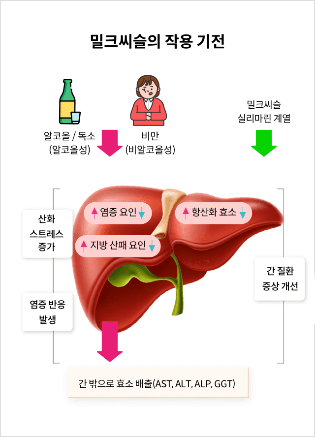 간 해독을 통해 보호하기위한 영양
