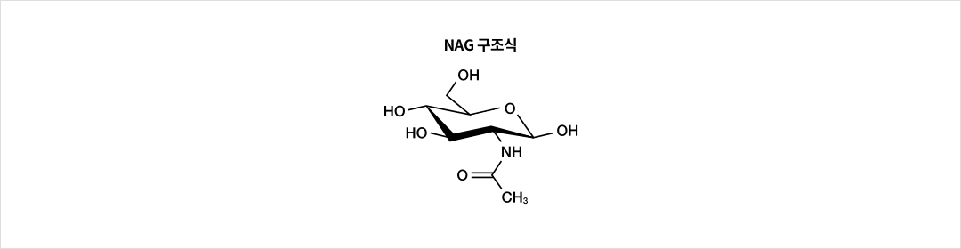 NAG 구조식