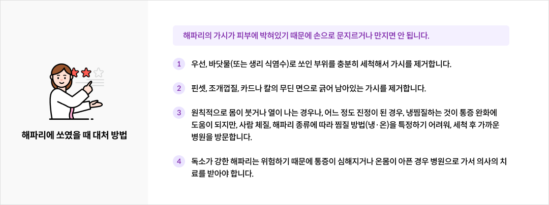 해파리에 쏘였을 때 대처 방법