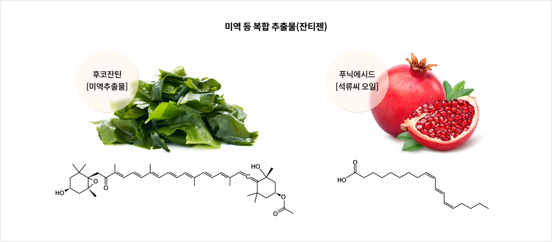 미역 등 복합 추출물(잔티젠)