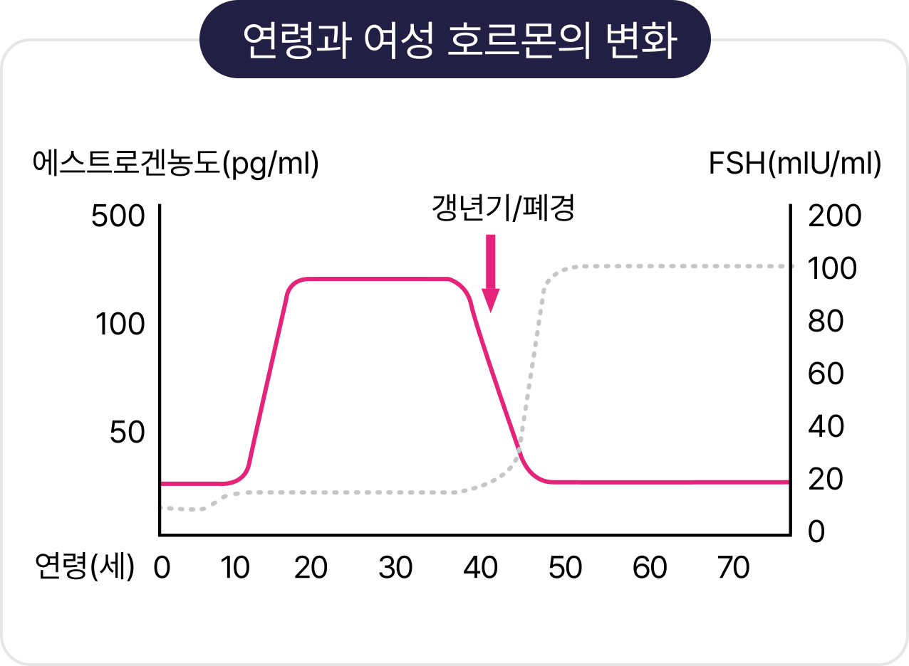 갱년기 추천 영양제