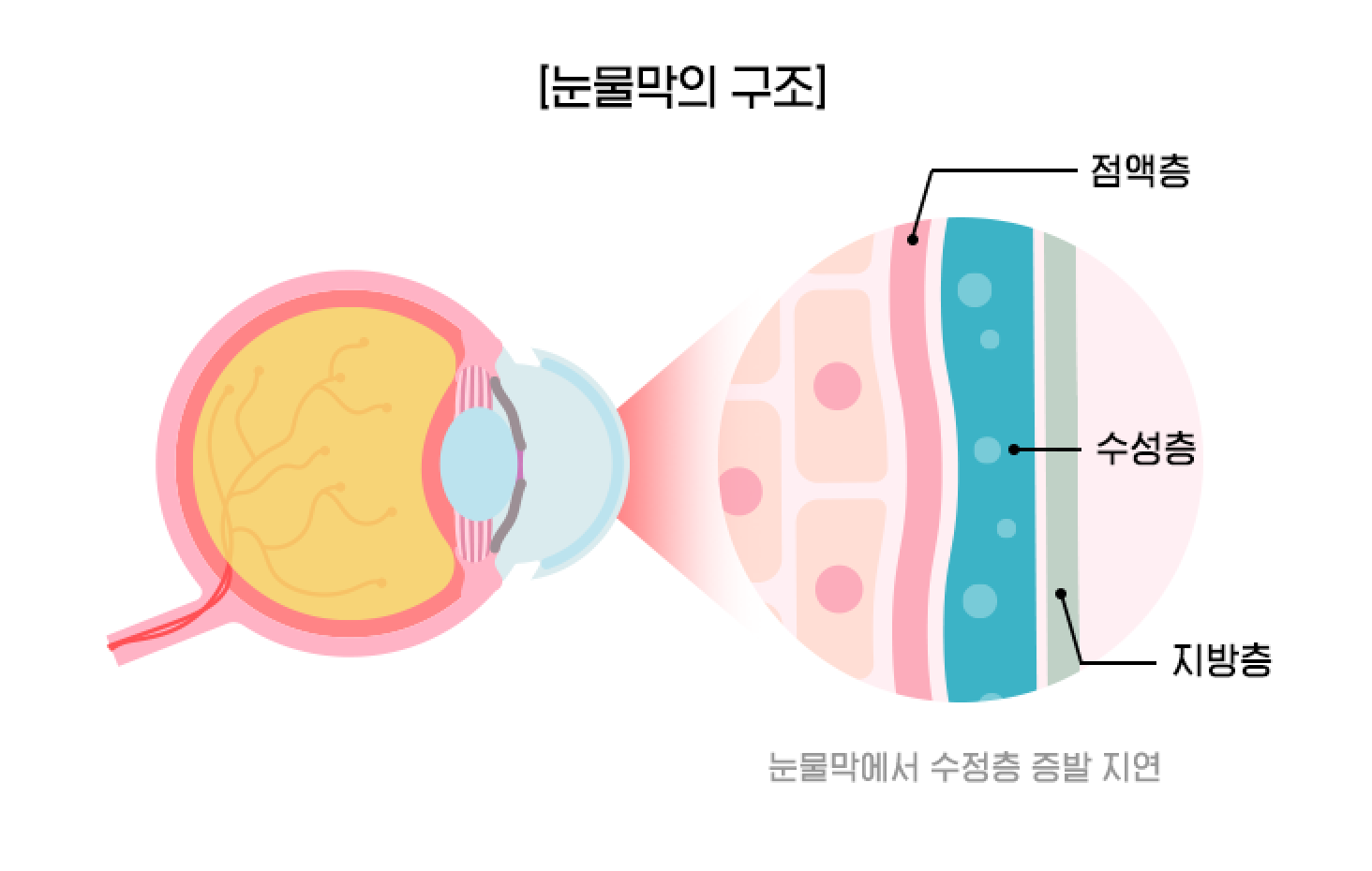 원활한 혈행 건강