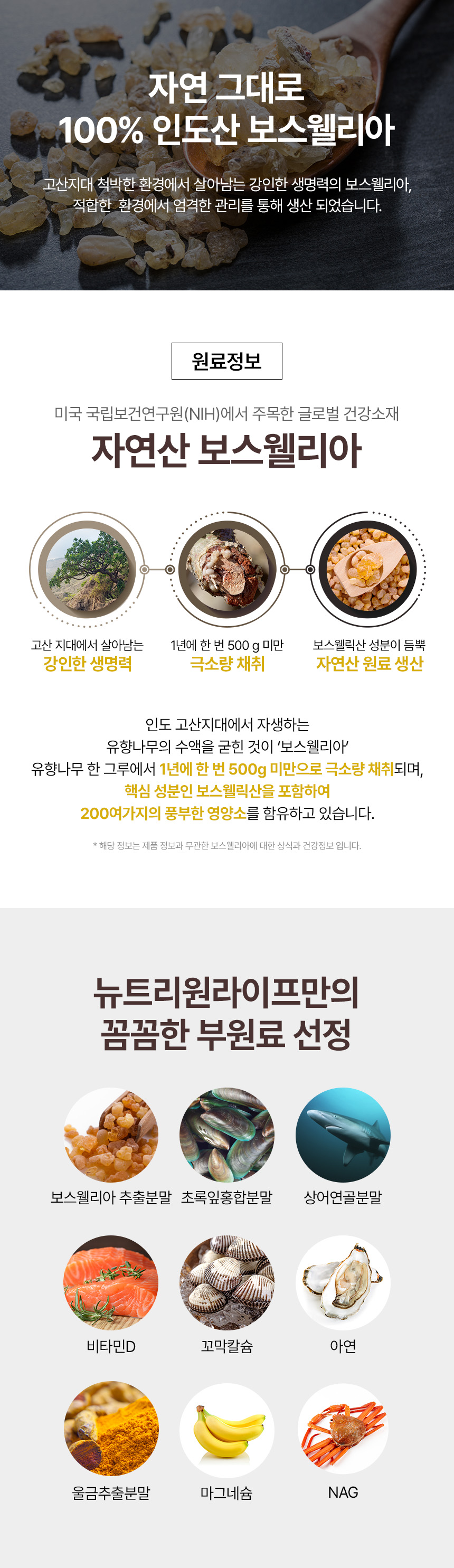 자연산 100% 인도산 보스웰리아 원료 - 관절 및 연골 건강에 도움을 주는 보스웰릭산 성분, 유향나무 1년 500g 미만 극소량 채취, 상어연골분말 초록잎홍합분말 비타민D 아연 울금추출분말 마그네슘 NAG 9종 부원료로 뼈 건강 관리