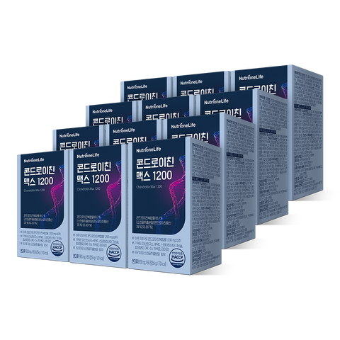 콘드로이친 맥스 1200 | 뉴트리원